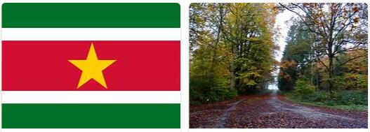 Suriname Country Information
