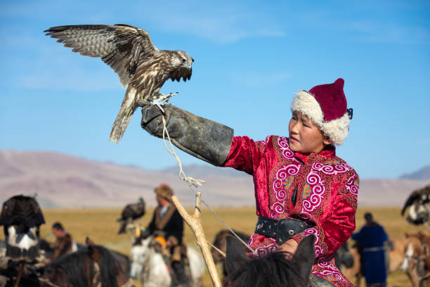 Young Mongolian boy in traditional Mongolian dress holding his falcon on horseback. Young children start training with falcons prior to working with golden eagles. Ulgii, Mongolia.